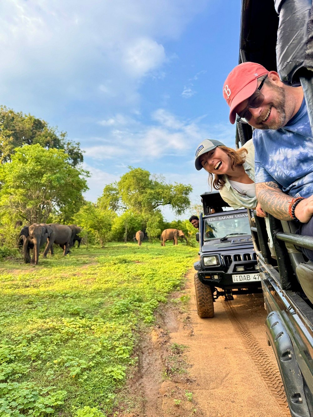 Young elephant at Udawalawe National Park